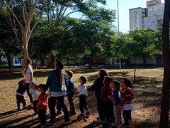 Meio ambiente
